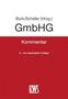 Text: "Bork/Schäfer (Hrsg.) GmbHG Kommentar 6., neu bearbeitete Auflage." Cover mit rotem und weißem Hintergrund.