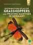 Text: "Distribution Atlas of Grasshoppers and Praying Mantises in Germany." Ein Heuschreckentier mit orangefarbenen Flügeln., Buch