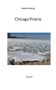 Severin Perrig: Chicago Prairie, Buch, Buch