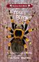 Nadine Muriel: Frau Birger, Buch