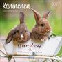 „Kaninchen Bunnies 2027“, „Garden, Welcome to our place“. Zwei Kaninchen in einem Gefäß mit grünem Hintergrund., Kalender