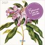 „2027“, „Botanicum Art of Nature“, hochwertiger Kunstkalender. Illustration von lila Blüten und grünen Blättern., Kalender