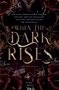 "When the Dark Rises" Anthologie. Namen: Alina Alerion, Carmanda Bücherhexe, Daniel Heart. Dunkle, florale Gestaltung.