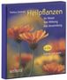 Markus Sommer: Heilpflanzen, 6 CDs