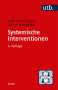 Arist von Schlippe: Systemische Interventionen, Buch