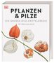 Lynne Boddy: DK Bibliothek. Pflanzen & Pilze, Buch