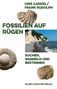 "Fossilien auf Rügen" von Uwe Kankel und Frank Rudolph. Oben Fossilien und Kreideküste, unten Meeresstrand., Buch