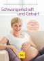 Thomas Villinger: Schwangerschaft und Geburt, Buch