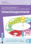 Ein Beobachtungsbogen zur Sprachentwicklung, 1–6 Jahre, Entwicklungs-Schnecke, mit Infos und Förderideen, inkl. 10 Bögen.