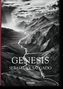 Lelia Wanick Salgado: Genesis, Buch, Buch