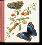 "COMING SOON" in der Mitte; bunte, gemusterte Schlangen winden sich um einen weißen Hintergrund., Buch