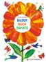 Eric Carle: Bilderbuchschatz, Buch