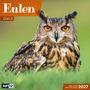 Text: "Eulen", "Owls", "ART12", "Inklusive Jahresplaner 2027". Eine Eule mit intensiven orangefarbenen Augen auf grünem Hintergrund., Kalender