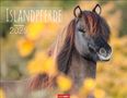 Islandpferde Kalender 2025, Kalender