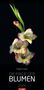 : Die Magie der Blumen Kalender 2026, KAL