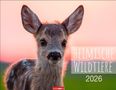 Heimische Wildtiere Kalender 2026, Kalender, Kalender