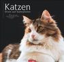 "Katzen: Diven auf Samtpfoten. 'In alten Zeiten wurden Katzen als Götter verehrt.' Terry Pratchett. Jahr: 2027.", Kalender