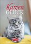 „Katzen Glück 2027. Wochenkalender mit Zitaten.“ Eine graue Katze mit grünen Augen liegt auf einem gelben Kissen., Kalender