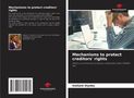Vaillant Diyoka: Mechanisms to protect creditors' rights, Buch