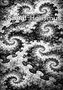 "Spiral Holismus" und "Ralph Rothgänger" in einem schwarz-weißen, spiralförmigen, abstrakten Muster wie ein Mosaik., Buch