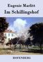 Eugenie Marlitt: Im Schillingshof, Buch, Buch