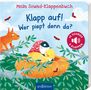 Katharina E. Volk: Mein Sound-Klappenbuch: Klapp auf! Wer piept denn da?, Buch