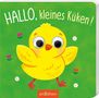 Text: "HALLO, kleines Küken!" Illustration eines gelben Kükens mit großen Kulleraugen auf grünem Hintergrund mit Blumen., Buch