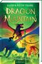 Katie Tsang: Dragon Mountain - Der Kampf um den Turm (Dragon Mountain 3), Buch