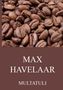 Multatuli: Max Havelaar, Buch
