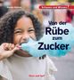 Karolin Küntzel: Von der Rübe zum Zucker, Buch