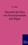 H. Zabel: Übersicht der Flora von Neuvorpommern und Rügen, Buch