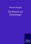 Heinrich Stieglitz: Ein Besuch auf Montenegro, Buch