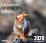 Wolfram Burckhardt: Der heroische Hörnchenkalender (2026), Kalender