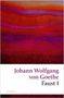 Johann Wolfgang von Goethe: Faust I, Buch