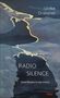 "Ulrike Draesner", "RADIO SILENCE", "Zwei Reisen in die Arktis". Abstrakte, blaue Landschaftsillustration mit gelben Linien., Buch
