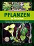 Beat Akeret: Pflanzen im Terrarium, Buch