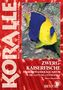 Dieter Brockmann: Zwergkaiserfische im Meerwasseraquarium, Buch