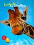 "Entdecke die Giraffen" von Vera Rduch. Nahe Aufnahme einer Giraffe vor blauem Himmel. Gelbes Zeichentricktier mit Quiz-Hinweis., Buch