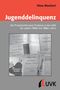 Nina Mackert: Jugenddelinquenz, Buch
