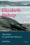 Elizabeth Bishop: Alles Meer ein gleitender Marmor, Buch