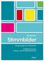 Tjark Baumann: Stimmbilder, Buch