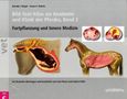 Ronald J. Riegel: Bild-Text-Atlas zur Anatomie und Klinik des Pferdes 2, Buch