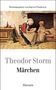 Theodor Storm: Märchen, Buch