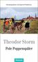 Theodor Storm: Pole Poppenspäler, Buch