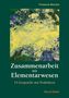 Thomas Mayer: Zusammenarbeit mit Elementarwesen, Buch