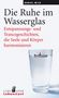 Daniel Wilk: Die Ruhe im Wasserglas, Buch