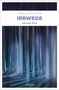 Sybille Baecker: Irrwege, Buch