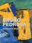 Rosa Barovier Mentasti: Bruno Pedrosa, Buch