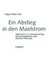 Text: "Edgar Allan Poe, Ein Abstieg in den Maelstrom, übersetzt & zweisprachig herausgegeben von Günter Plessow, Engeler.", Buch