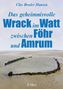 Text: "Clas Broder Hansen, Das geheimnisvolle Wrack im Watt zwischen Föhr und Amrum, Urbes". Eine Wattlandschaft mit einem alten Wrack., Buch